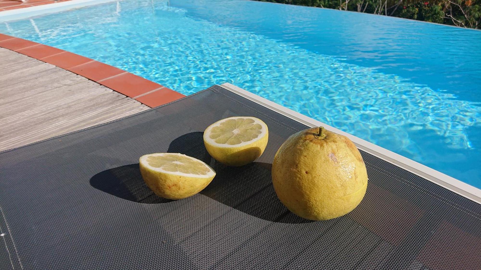 Villa Du Cap Beauchene Le Marin Ngoại thất bức ảnh