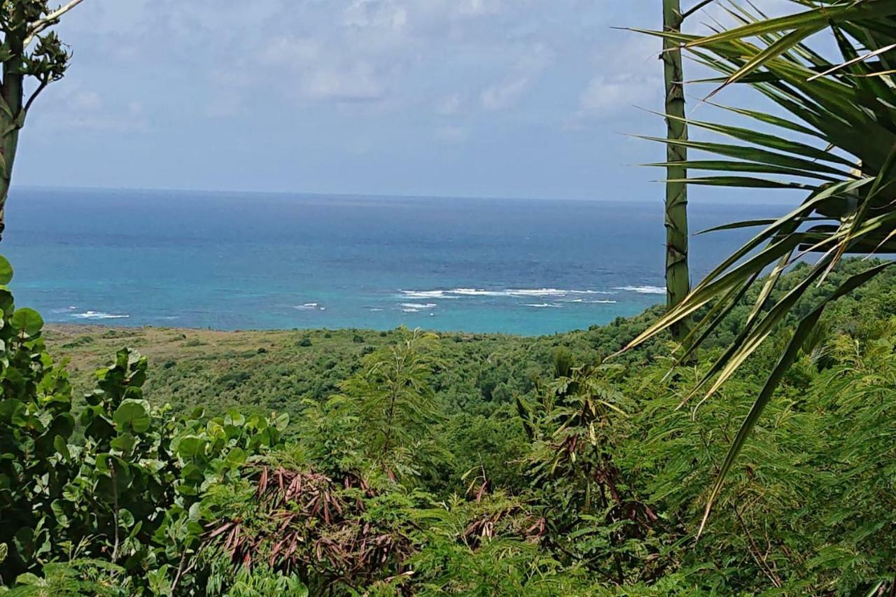 Villa Du Cap Beauchene Le Marin Ngoại thất bức ảnh
